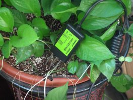 [LM3001B]��ҵ������ˮ�ִ�����,����ʪ��,����0-50%,RS485���,�ѱ궨